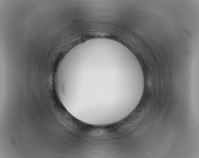 X0000115050551200911091427