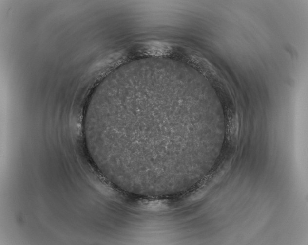 X0000115050553200911091427