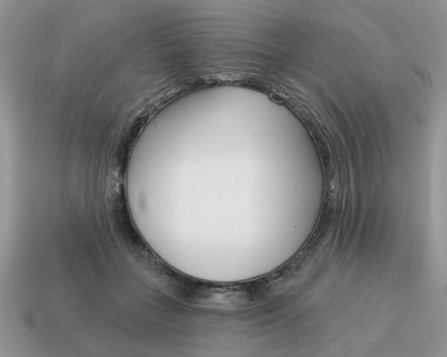 X0000115050555200911091427