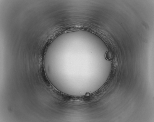 X0000115050559200911091427