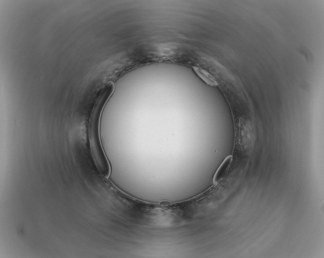X0000115050562200911091427