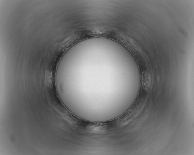 X0000115050563200911091427