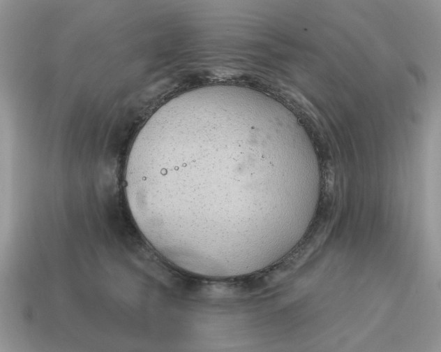 X0000115050565200911091427