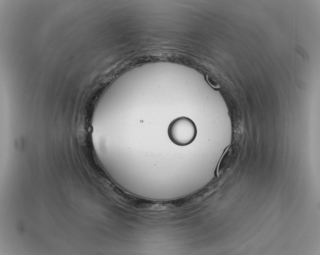 X0000115050566200911091427