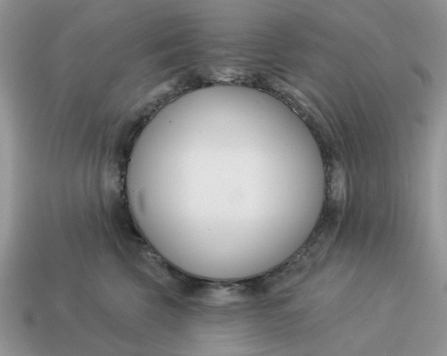 X0000115050569200911091427