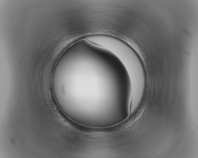 X0000115050577200911091427