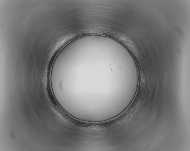 X0000115050578200911091427