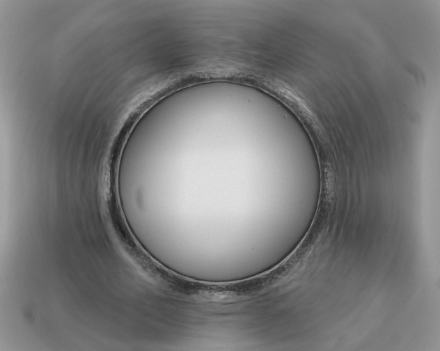 X0000115050582200911091427