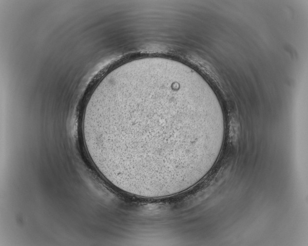 X0000115050584200911091427