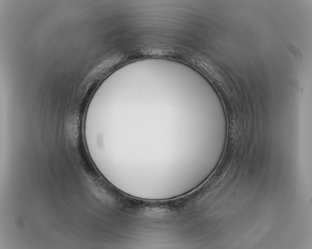 X0000115050586200911091427