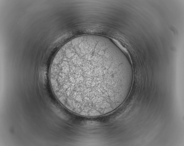 X0000115050590200911091427