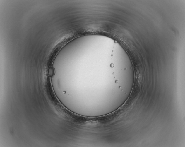 X0000115050591200911091427