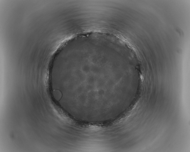 X0000115050592200911091427