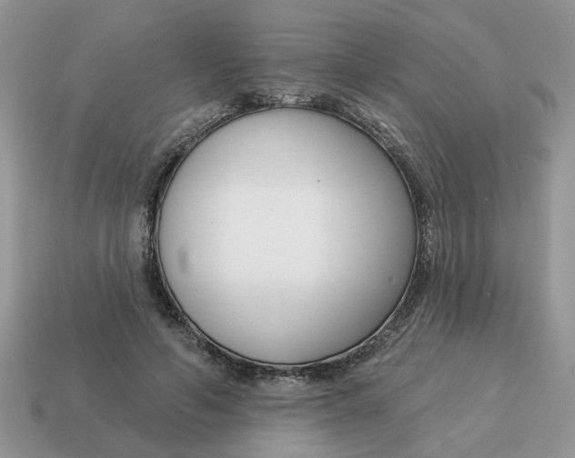 X0000115050594200911091427
