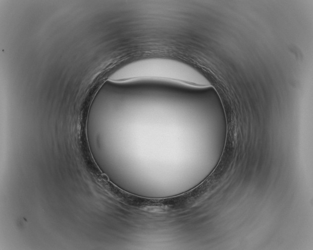 X0000115050595200911091427