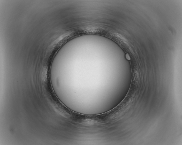 X0000115050596200911091427
