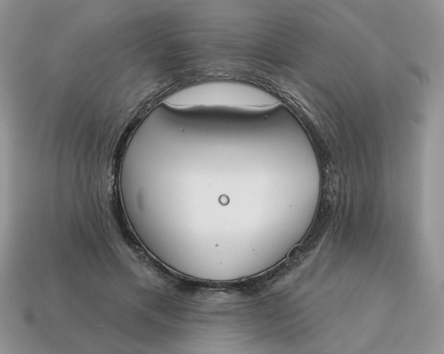 X0000115050597200911091427