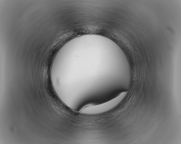 X0000115050599200911091427