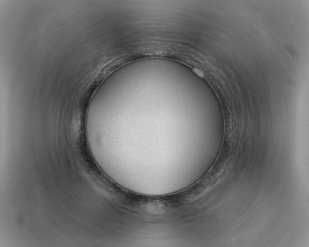 X0000115050600200911091427