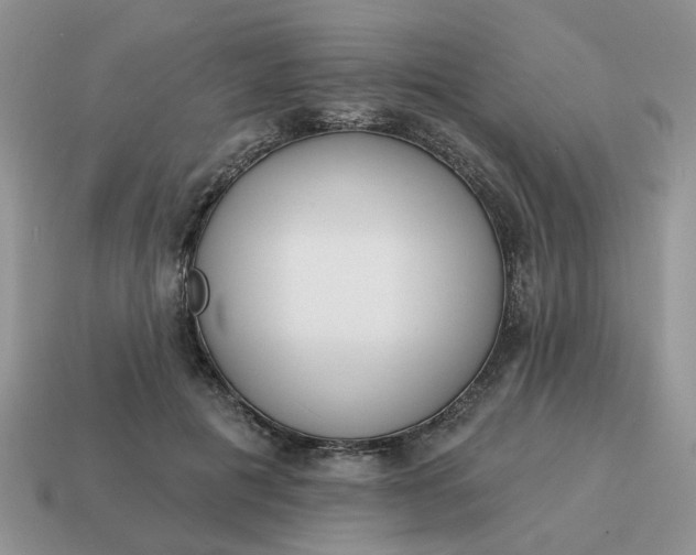 X0000115050601200911091427