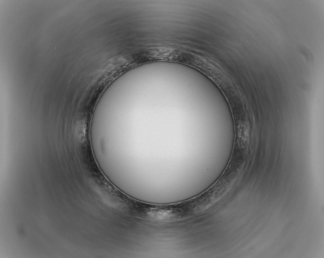 X0000115050602200911091427