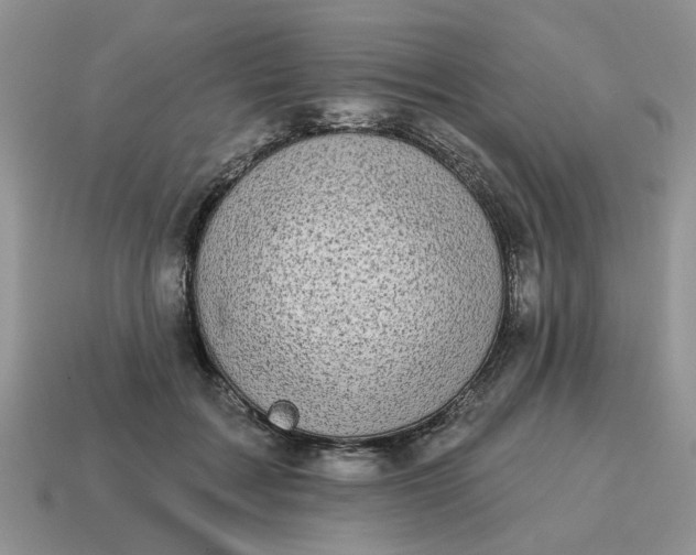 X0000115050603200911091427