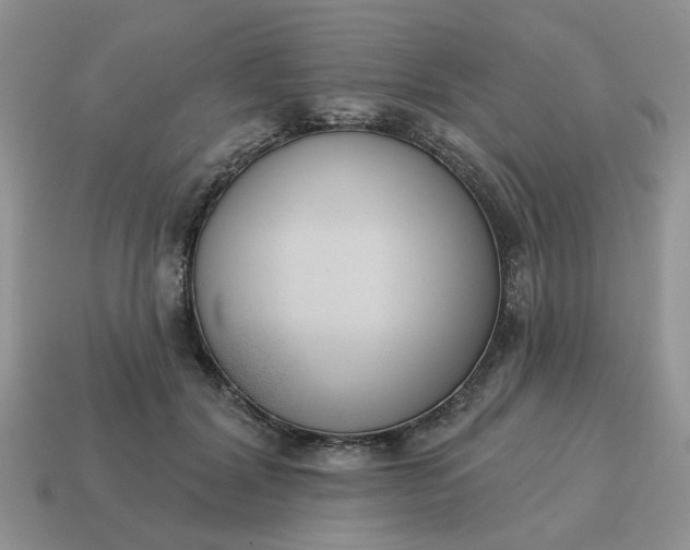 X0000115050604200911091427