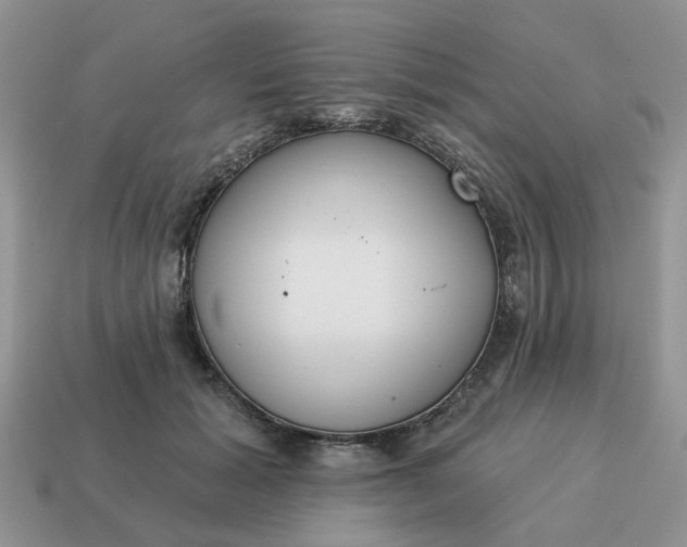 X0000115050605200911091427