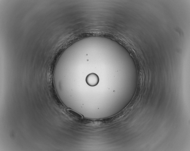 X0000115050609200911091426