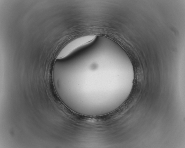 X0000115050611200911091426