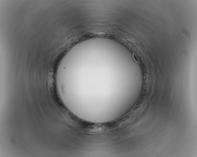 X0000115050612200911091426