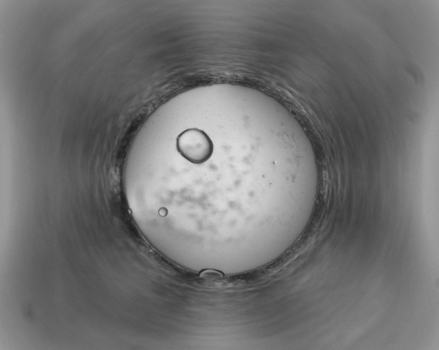 X0000115050613200911091426