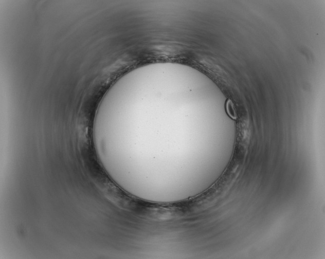 X0000115050615200911091426