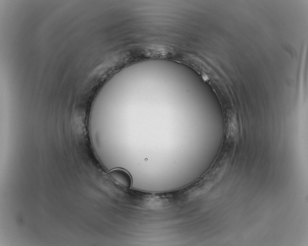 X0000115050616200911091426