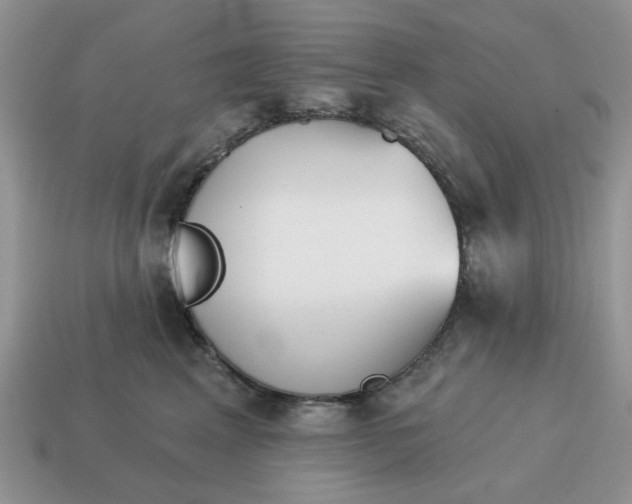 X0000115050617200911091426