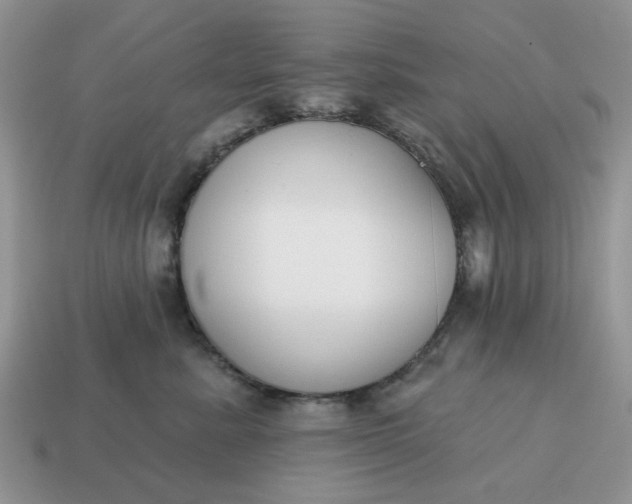 X0000115050619200911091426