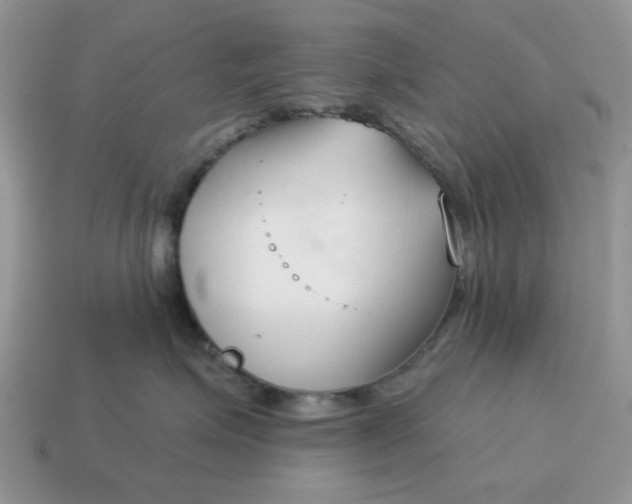 X0000115050623200911091426