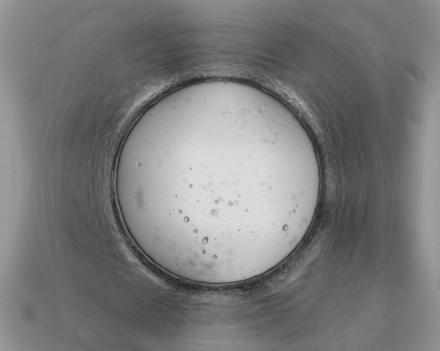X0000115050625200911091426