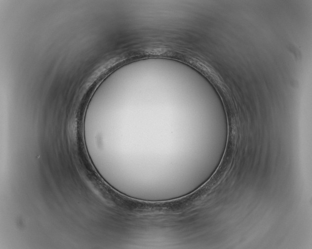 X0000115050626200911091426