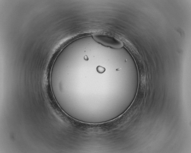 X0000115050628200911091426