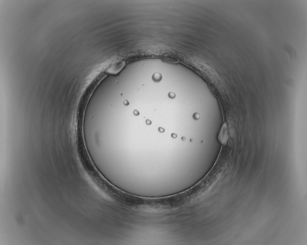 X0000115050630200911091426