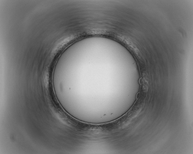 X0000115050631200911091426