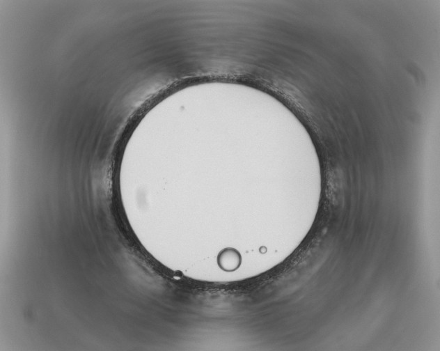 X0000115050632200911091426