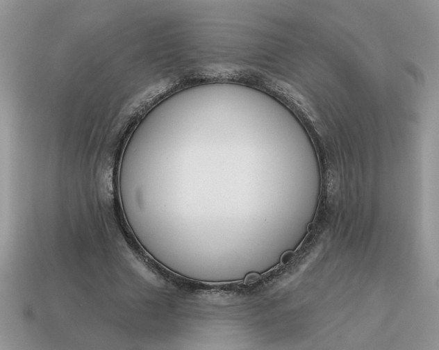 X0000115050633200911091426