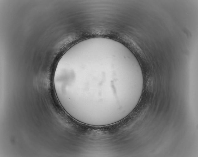 X0000115050635200911091426