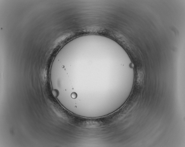 X0000115050636200911091426