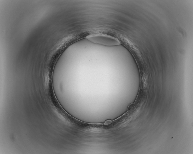 X0000115050637200911091426
