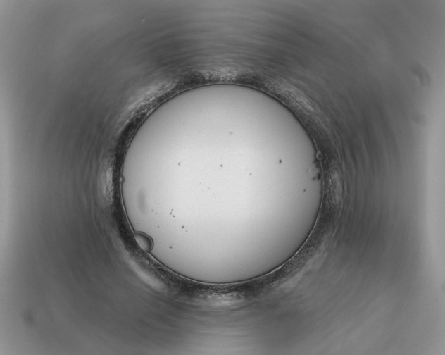 X0000115050638200911091426