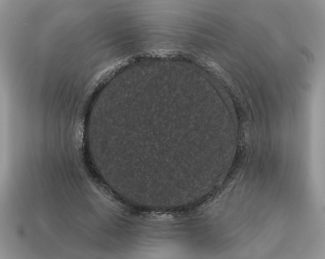 X0000115050640200911091426