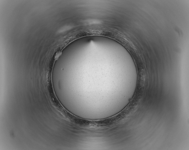 X0000115050641200911091426